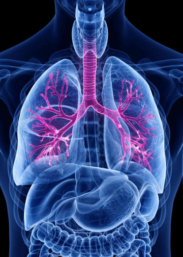 Everything You Need to Know About COPD