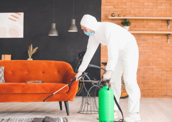 This is the Best Time to Fumigate Your House