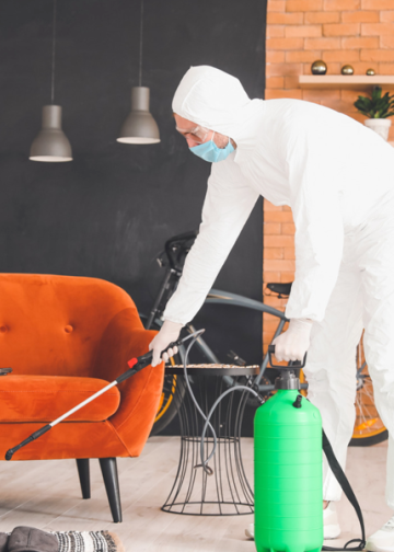 This is the Best Time to Fumigate Your House