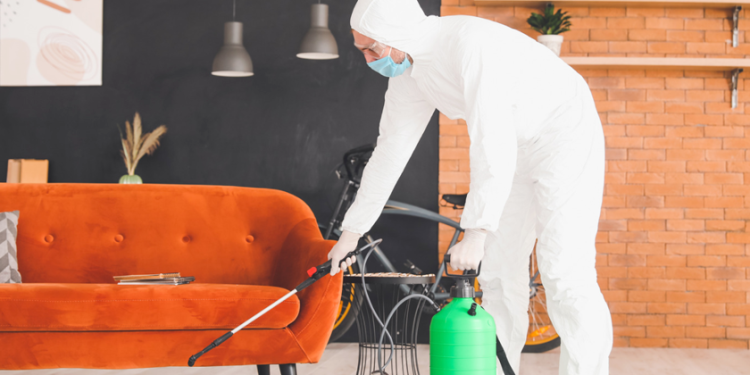 This is the Best Time to Fumigate Your House