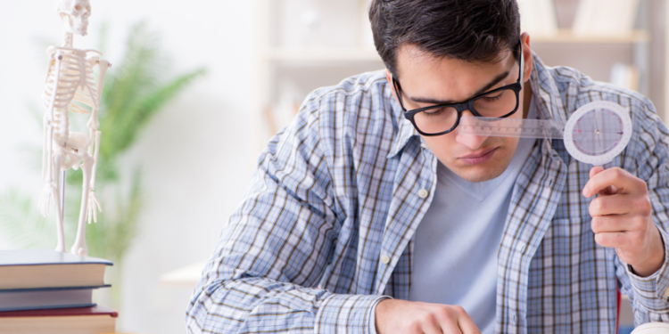 Everything You Need to Know About Healthcare PHD Programs