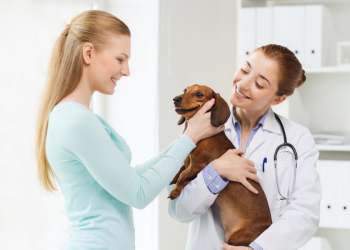 Love Animals? Here are Careers You Should Consider