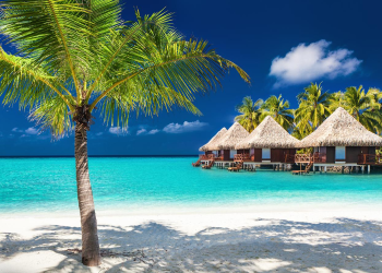 How to Plan a Vacation on a Budget