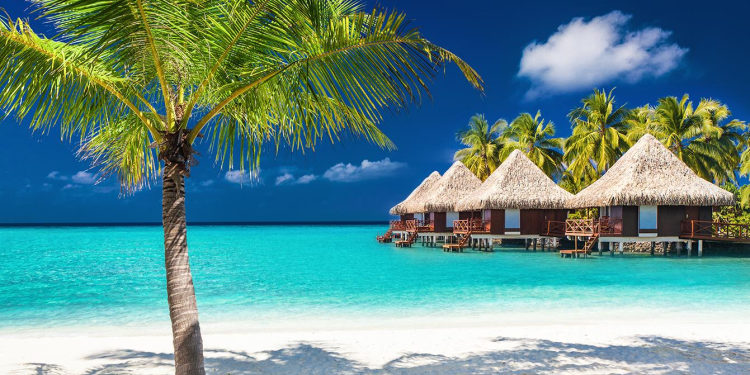 How to Plan a Vacation on a Budget